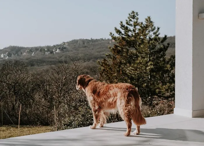 Suqo Casa de Férias
